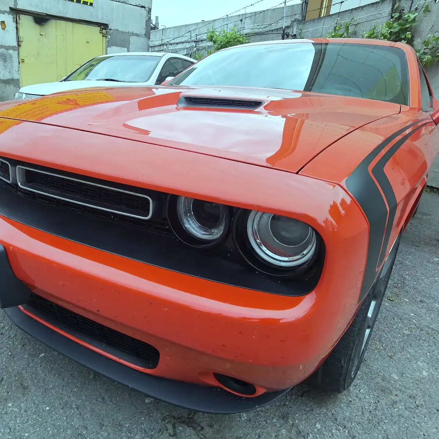 Dodge Challenger у нашому сервісі